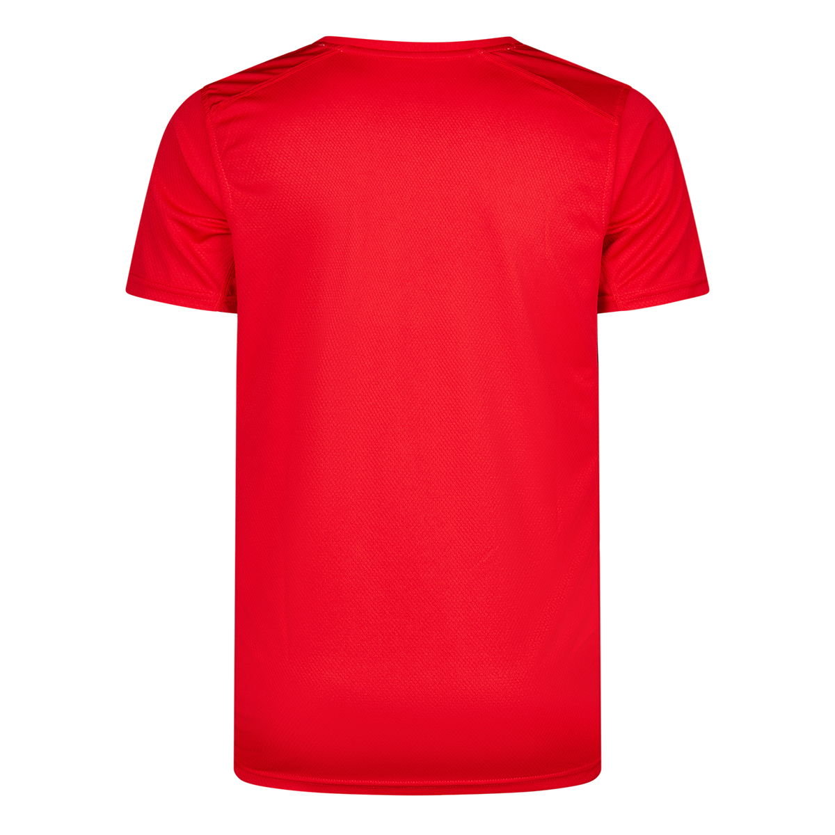 TG Worms TK Trikot "Bern" Boys/Men - red – Bild 2