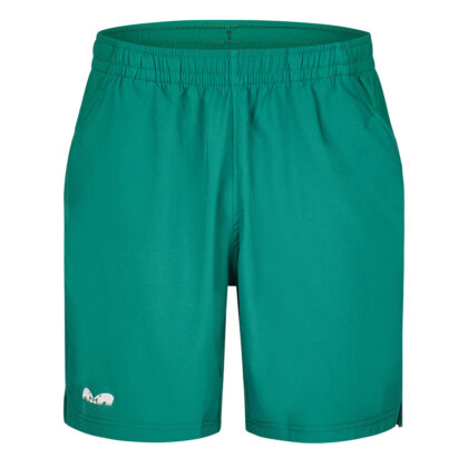 SpVgg Greuther Fürth TK Shorts "Cairo" Boys/Men - grün